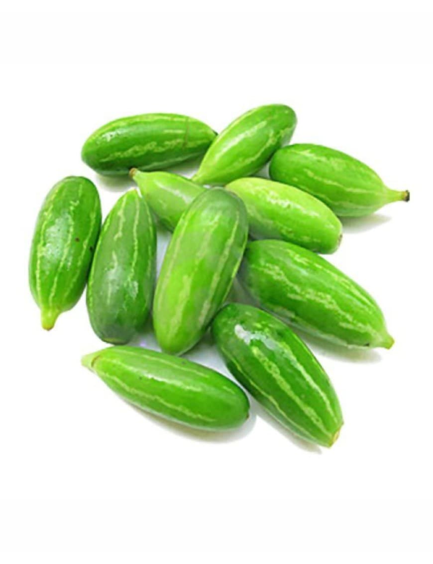 TINDORA INDIAN   (LB) - Produce