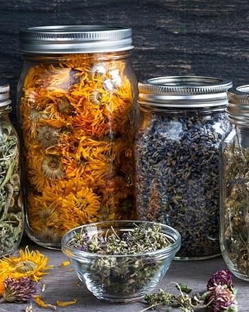 BLOOM JOWAR WHOLE 2LB - Grains & Cereals