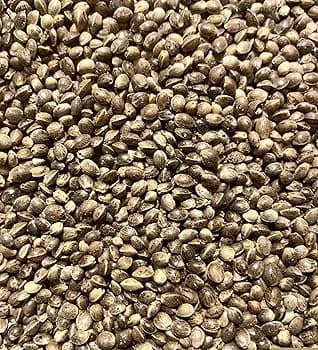 HANDI POPPY SEED 200G - Spices and Herbs