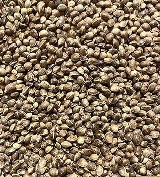 HANDI POPPY SEED 400G - Spices and Herbs