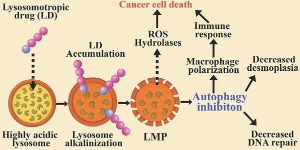 KQ SS 5.5 Watki - Others