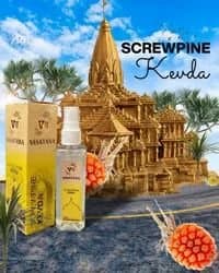 VASAVANA Kevda Air Freshener - KitchenReligious