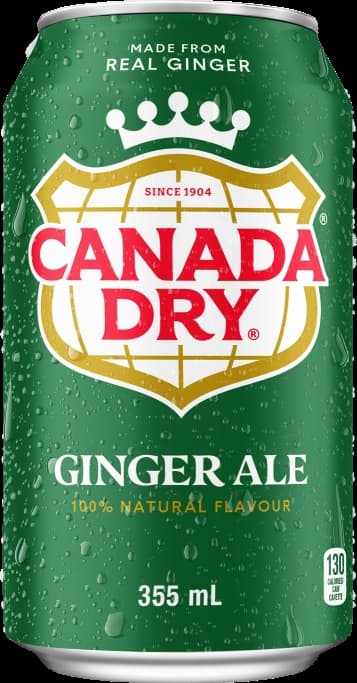 CANADA DRY GINGER ALE 355ML - Others