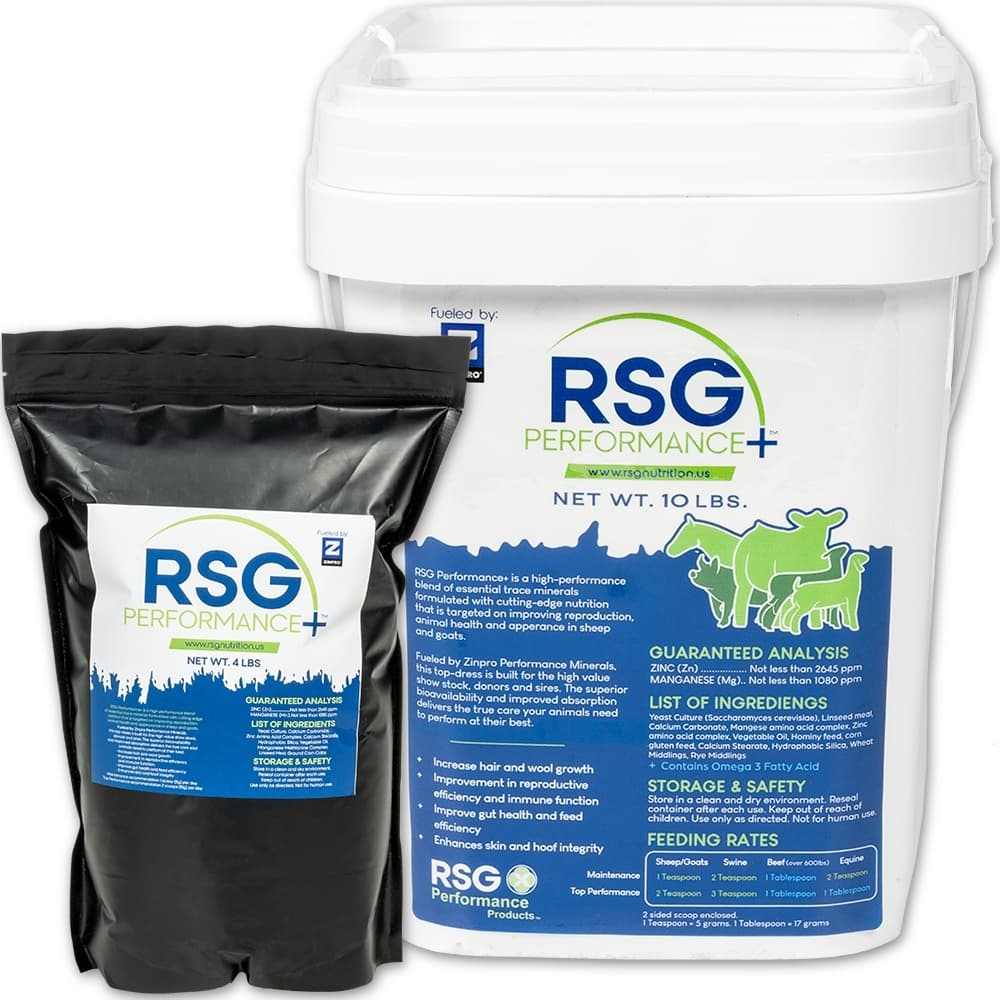 DP CORIANDER-CUMIN POWDR 800G - Spices and Herbs