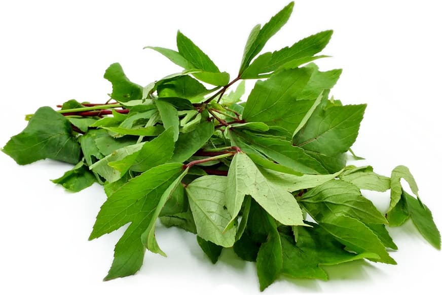GONGURA LEAVES (EACH) - Spices and Herbs