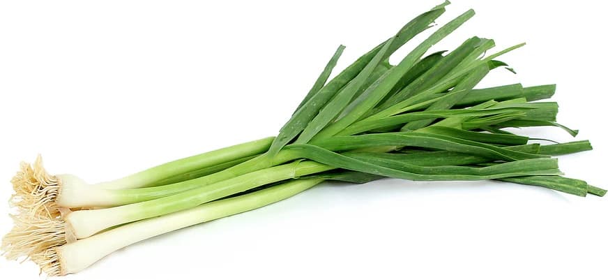 GREEN GARLIC INDIAN ( EA ) - Spices and Herbs