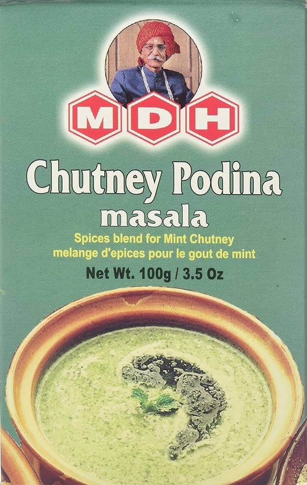 MDH CHUTNEY PODINA 100G - Condiments