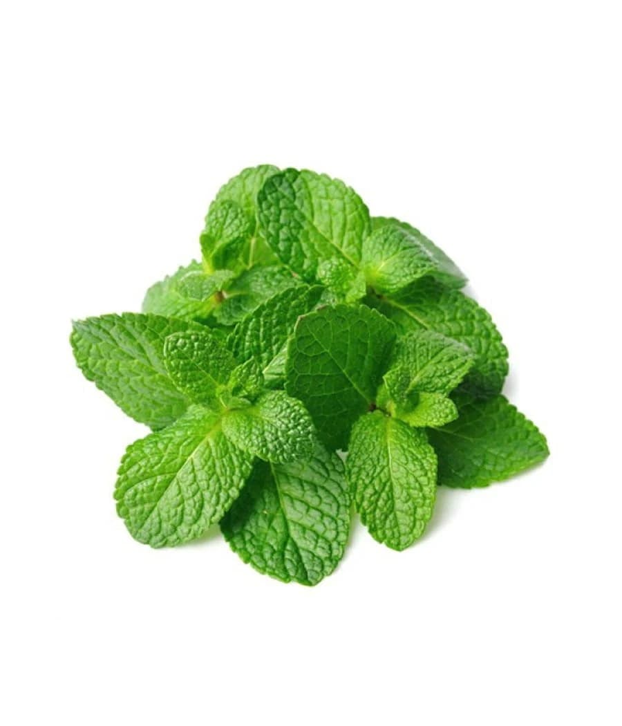 MINT (EACH) - Spices and Herbs