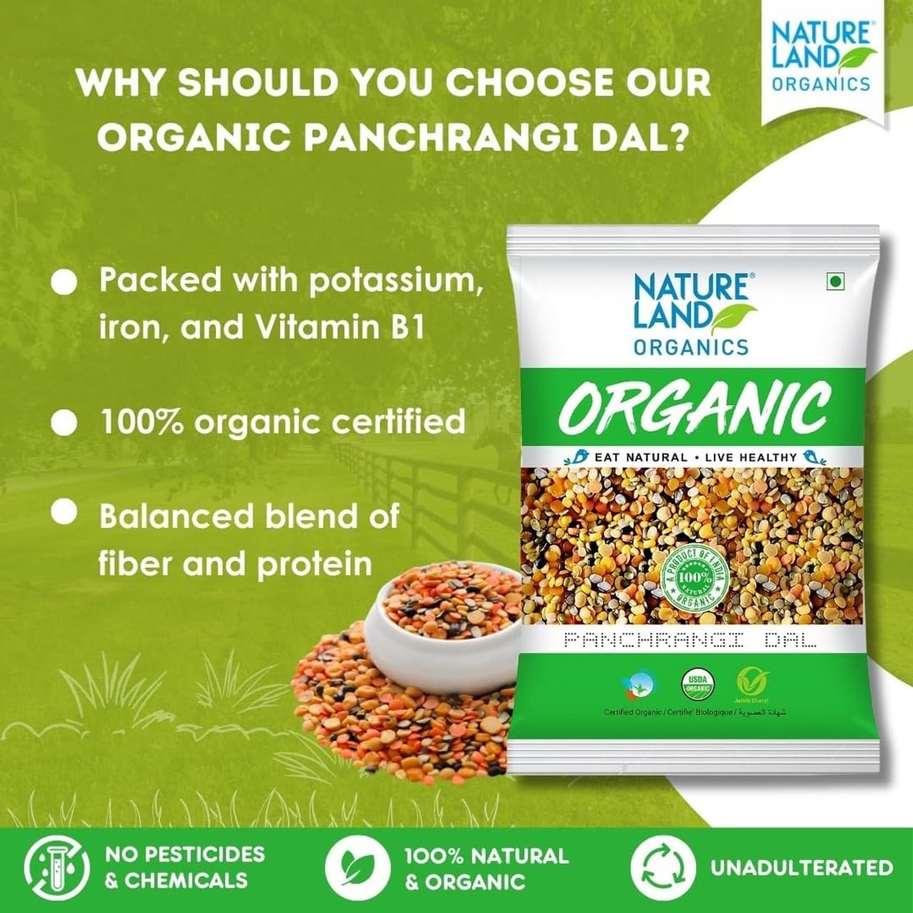 NL ORG PANCHRANGI DAL 2LB - Pulses