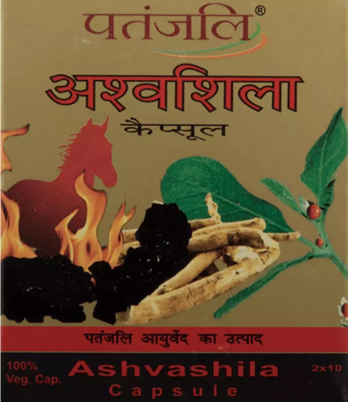 PATAN ASHVASHILA CAPSULES - Health & Care