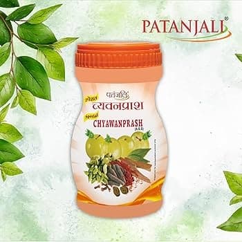 PATANJALI CHYAWANPRASH 500G - Health & Care