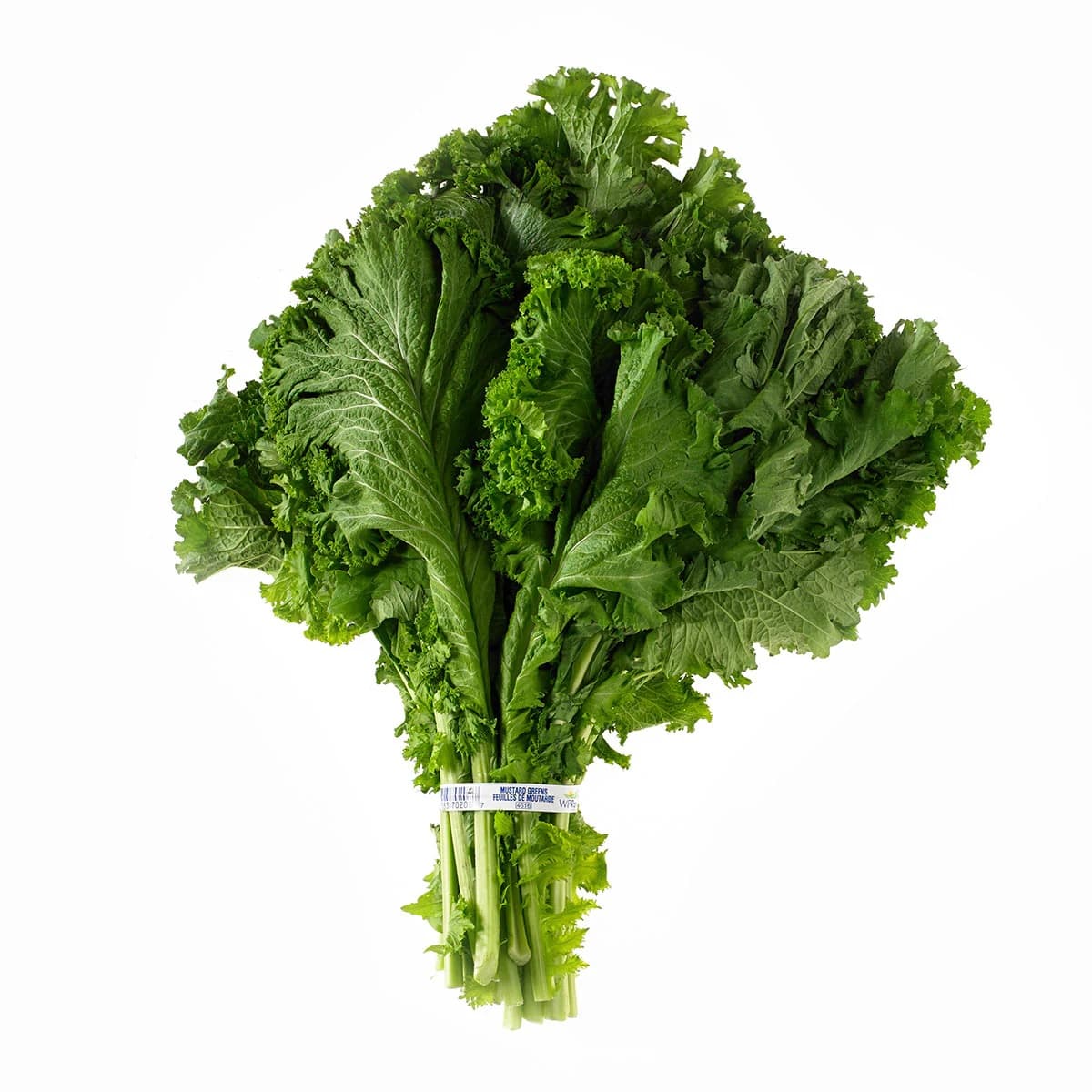 SAAG (EA) - Spices and Herbs