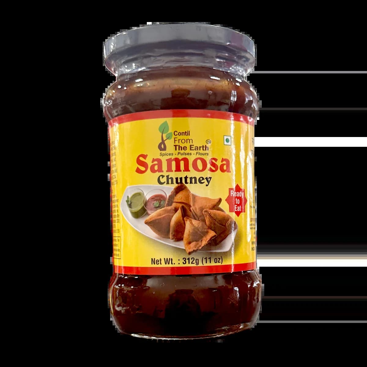 SAMOSA CHUTNET 312G FTE - Condiments