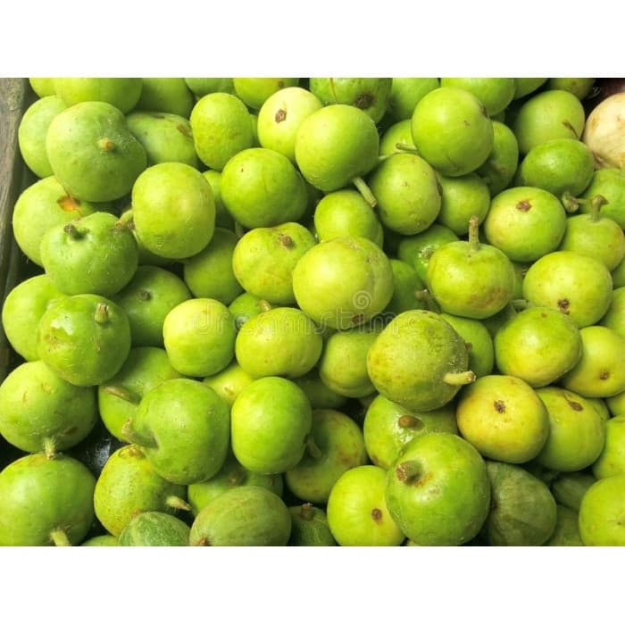 Tinda Indian 1lb - Produce