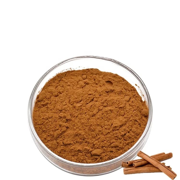 US CINNAMON PWDR 100GM - Spices and Herbs