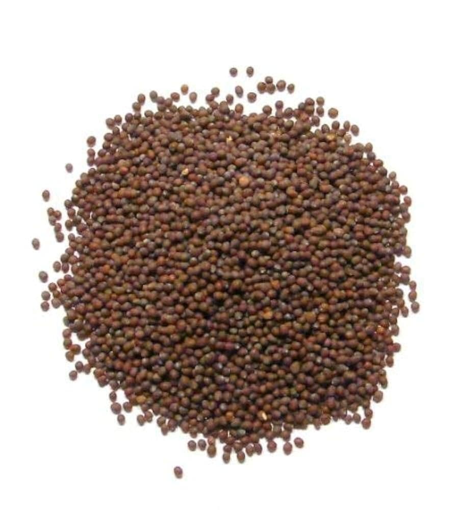 US MUSTARD SEEDS 1 LB - Spices and Herbs