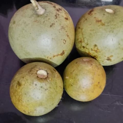 Bael Fruit - KitchenReligious