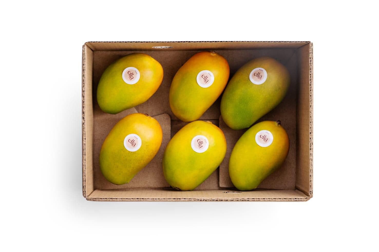 ALPHANSO 6PC - Produce