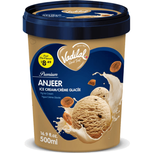 Vadilal Anjeer Ice Cream 500ml - Frozen