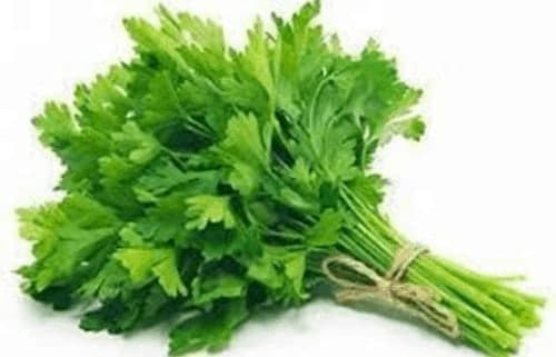 Coriander Each - Produce