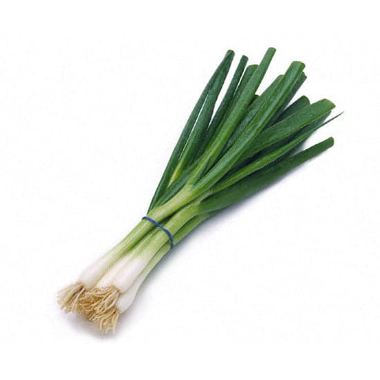 Green Onion Each - Produce